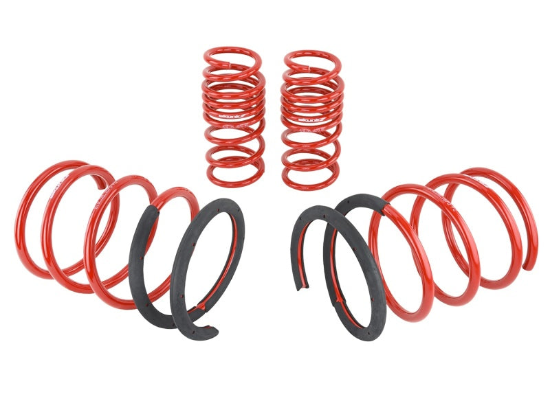 Skunk2 02-04 Acura RSX Lowering Springs (2.25in - 2.00in.) (Set of 4) Skunk2 02-04 Acura RSX Lowering Springs (2.25in - 2.00in.) (Set of 4)