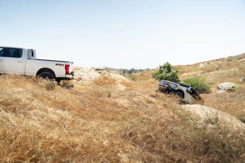 DV8 Offroad Elite Series D-Ring Shackles - Pair (Black) DV8 Offroad Elite Series D-Ring Shackles - Pair (Black)