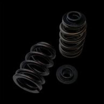 Brian Crower Polaris XP1000/XPTurbo/XP900 Dual Spring/Titanium Retainer/Seat Kit