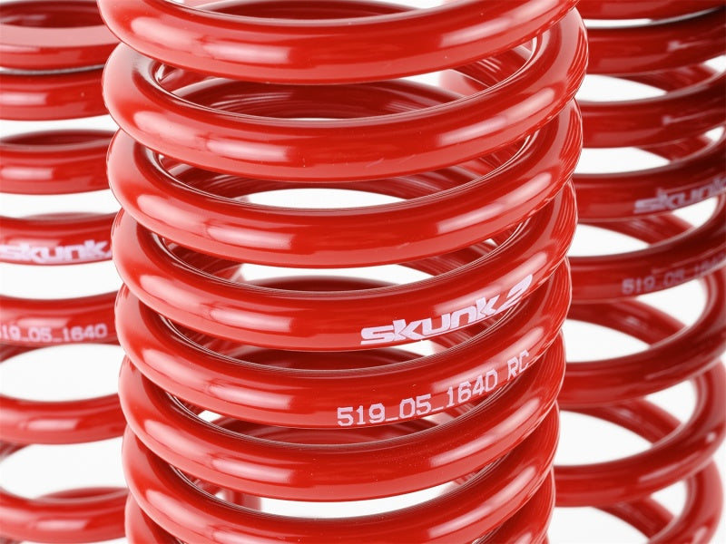 Skunk2 90-93 Acura Integra Lowering Springs (2.50in - 2.25in.) (Set of 4) Skunk2 90-93 Acura Integra Lowering Springs (2.50in - 2.25in.) (Set of 4)
