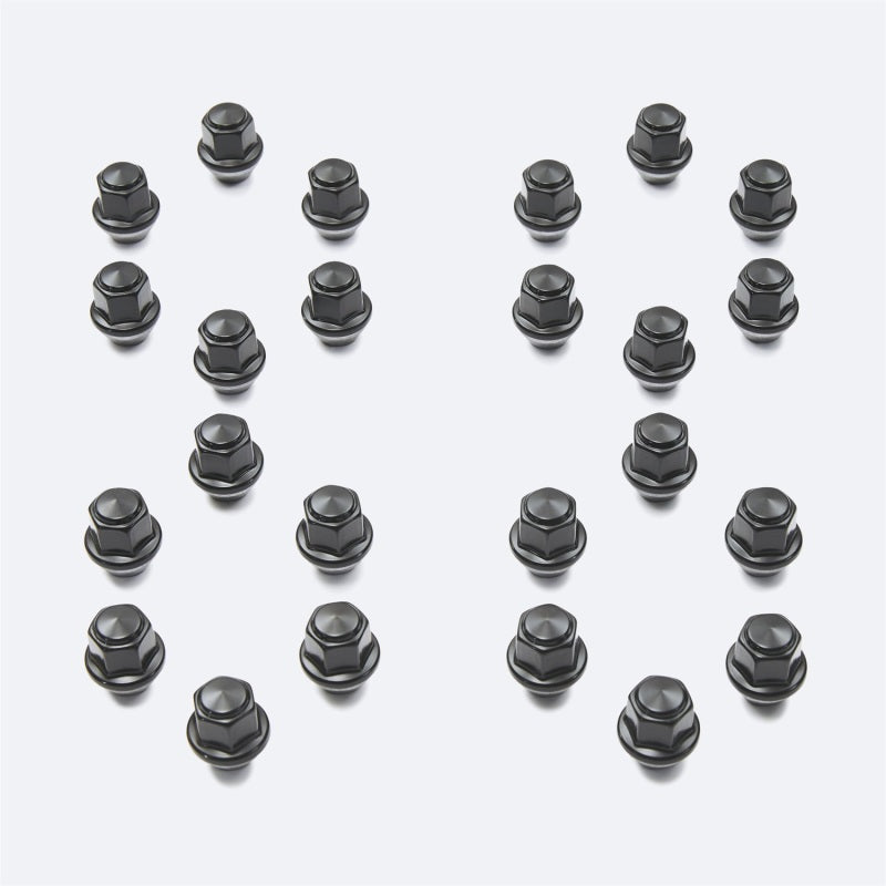 Ford Racing M14 x 1.5 Black Lug Nut - Set of 24 Ford Racing M14 x 1.5 Black Lug Nut - Set of 24