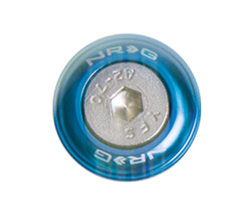 NRG Fender Washer Kit w/Rivets For Metal (Blue) - Set of 10 NRG Fender Washer Kit w/Rivets For Metal (Blue) - Set of 10