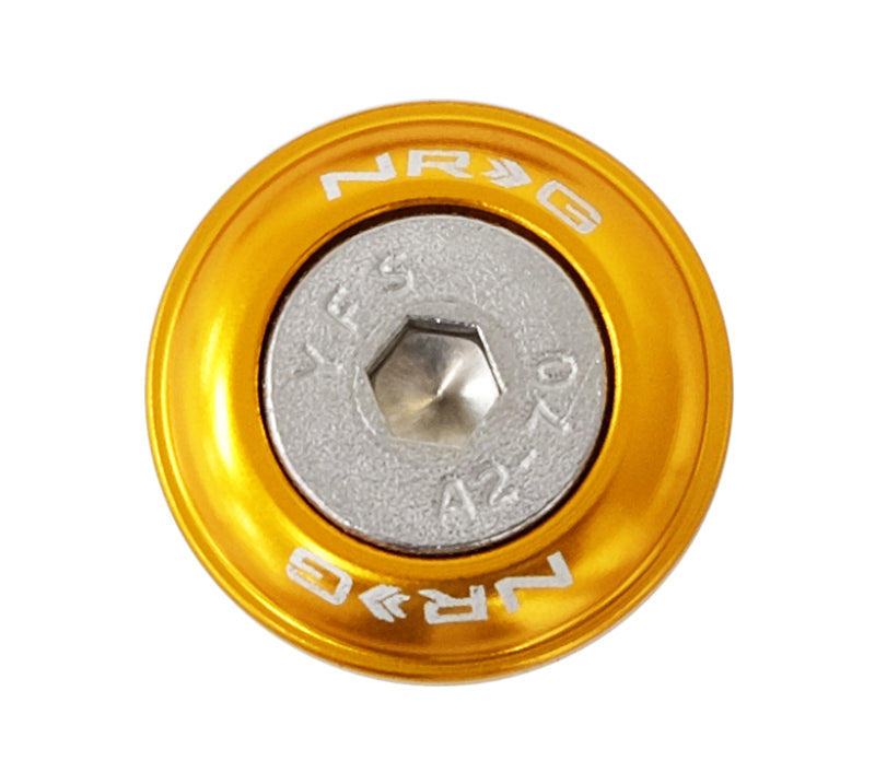 NRG Fender Washer Kit w/Rivets For Plastic (Rose Gold) - Set of 10 NRG Fender Washer Kit w/Rivets For Plastic (Rose Gold) - Set of 10