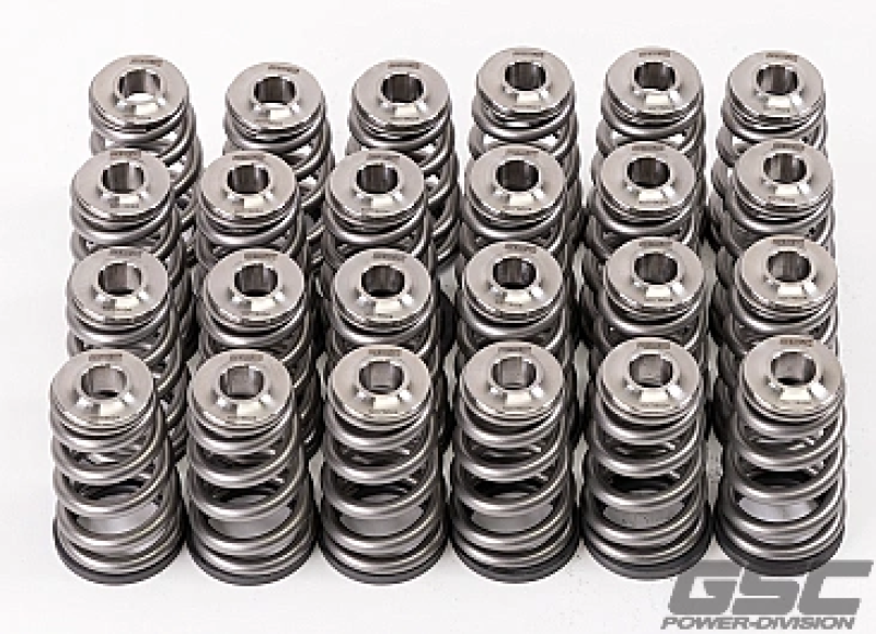 GSC P-D Nissan TB48 Ti Retainer Steel Spring Seat Conical Valve Spring Kit GSC P-D Nissan TB48 Ti Retainer Steel Spring Seat Conical Valve Spring Kit