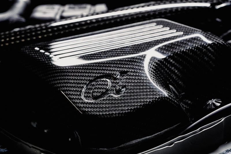 AMS Performance 15-18 BMW M3 / 15-20 BMW M4 w/ S55 3.0L Turbo Engine Carbon Fiber Intake AMS Performance 15-18 BMW M3 / 15-20 BMW M4 w/ S55 3.0L Turbo Engine Carbon Fiber Intake