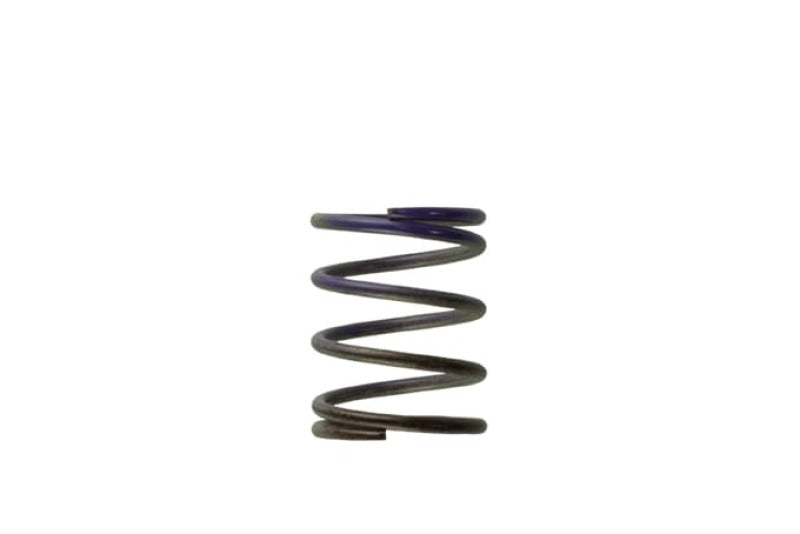 Turbosmart WG40 7PSI Middle Spring Brown/Purple Turbosmart WG40 7PSI Middle Spring Brown/Purple