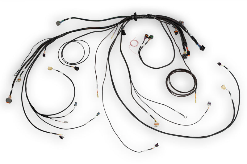 Haltech NEXUS Rebel LS Terminated Harness for ECU Haltech NEXUS Rebel LS Terminated Harness for ECU