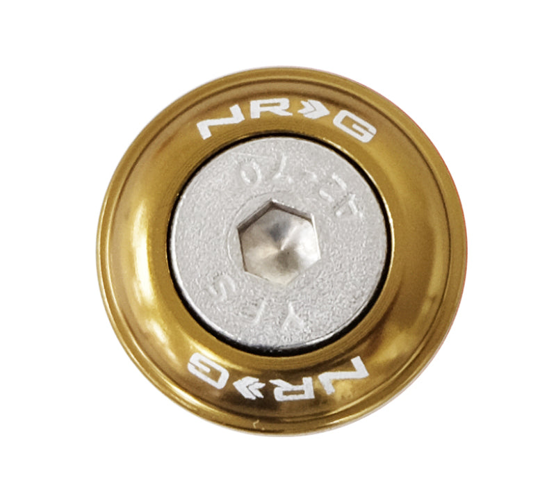 NRG Fender Washer Kit w/Rivets For Plastic (Titanium) - Set of 10 NRG Fender Washer Kit w/Rivets For Plastic (Titanium) - Set of 10