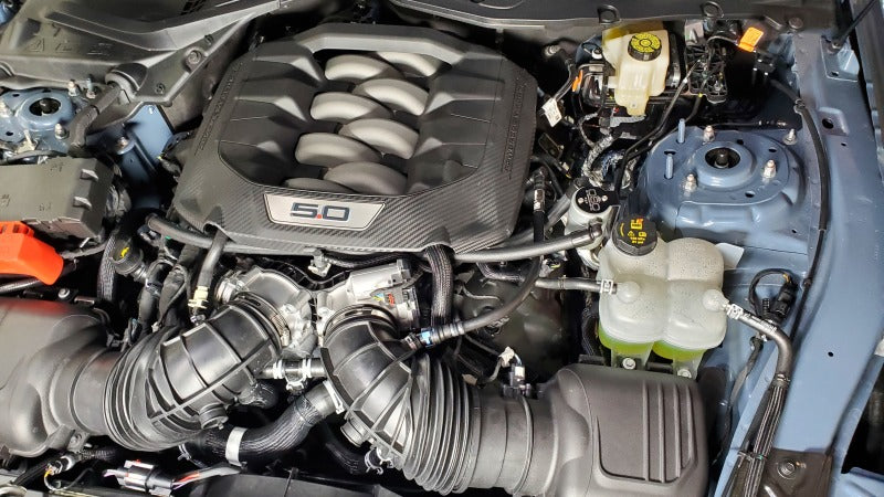 J&L 2024-2025 Ford Mustang 5.0L Oil Separator 3.0 PCV Side - Clear Anodized J&L 2024-2025 Ford Mustang 5.0L Oil Separator 3.0 PCV Side - Clear Anodized