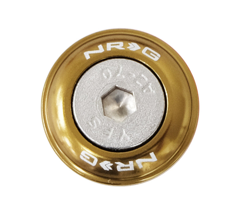 NRG Fender Washer Kit w/Rivets For Plastic (Titanium) - Set of 10 NRG Fender Washer Kit w/Rivets For Plastic (Titanium) - Set of 10