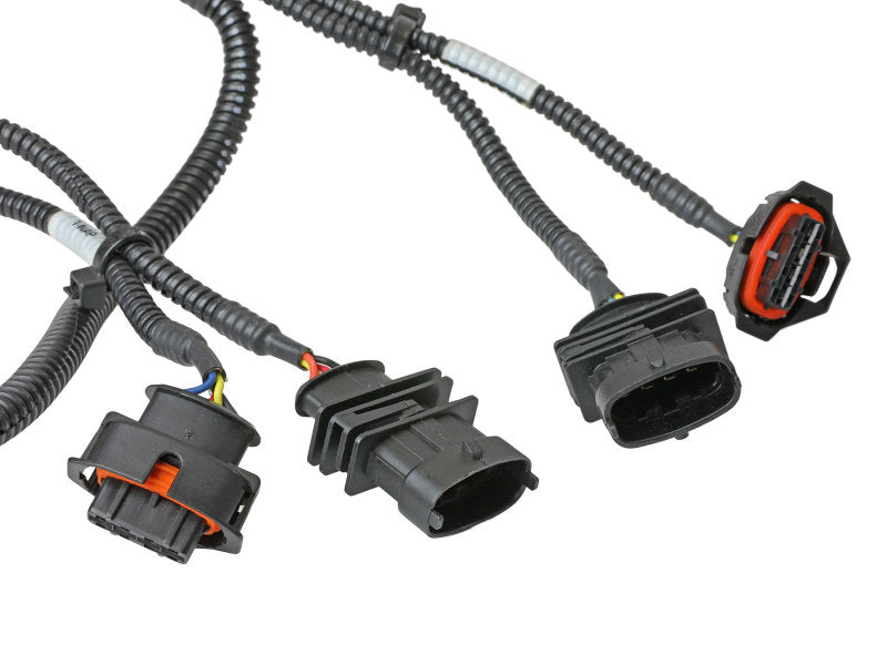 aFe Scorcher Module 14-19 Ford Fiesta ST L4-1.6L aFe Scorcher Module 14-19 Ford Fiesta ST L4-1.6L