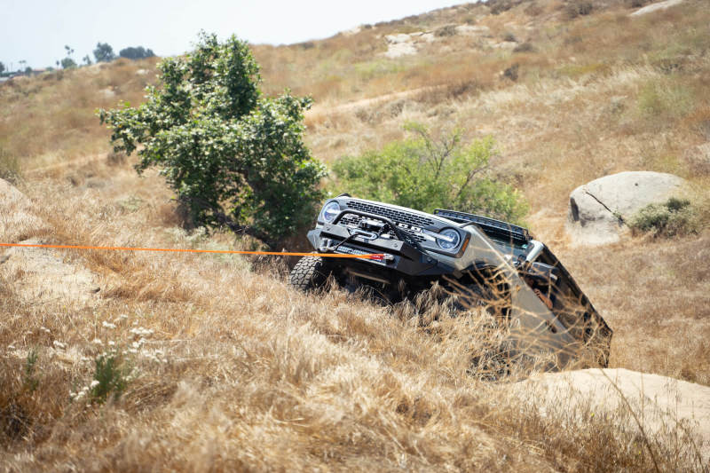 DV8 Offroad Elite Series D-Ring Shackles - Pair (Black) DV8 Offroad Elite Series D-Ring Shackles - Pair (Black)