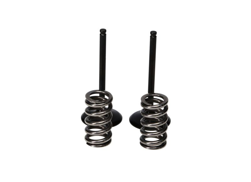 ProX 10-13 YZ450F Steel Intake Valve/Spring Kit ProX 10-13 YZ450F Steel Intake Valve/Spring Kit