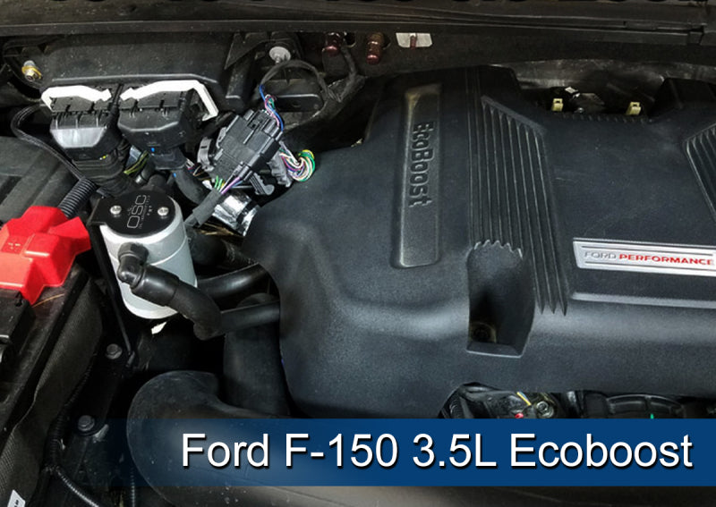 J&L 2011-2024 Ford F-150 2.7L/3.5L/5.0L Passenger Side Oil Separator 3.0 - Clear Anodized J&L 2011-2024 Ford F-150 2.7L/3.5L/5.0L Passenger Side Oil Separator 3.0 - Clear Anodized
