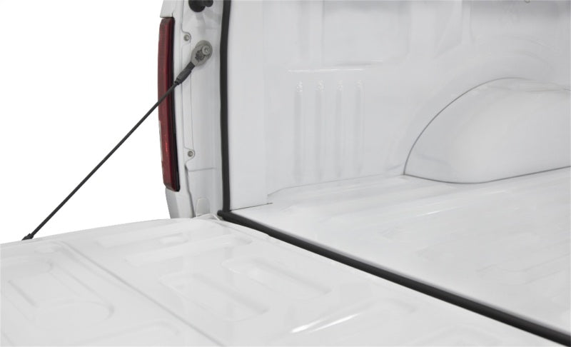 Access Accessories TRAILSEAL Tailgate Gasket 1 Kit Fits All Pickups Access Accessories TRAILSEAL Tailgate Gasket 1 Kit Fits All Pickups