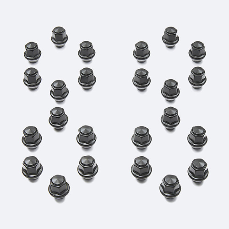 Ford Racing M14 x 1.5 Black Lug Nut - Set of 24 Ford Racing M14 x 1.5 Black Lug Nut - Set of 24