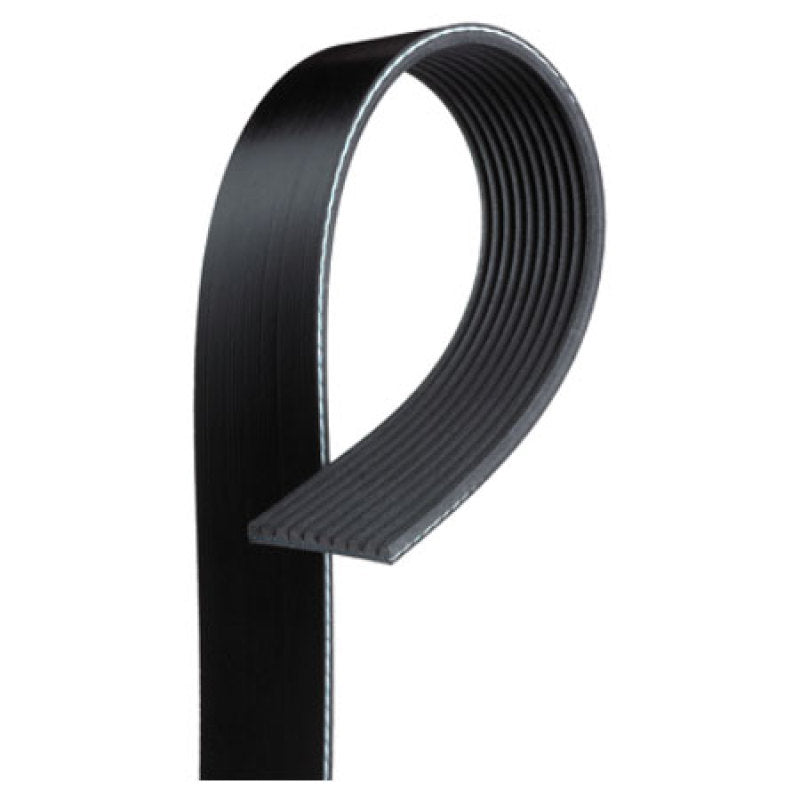 VMP Performance Belt for Coyote w/ Gen3R kit and 3.4in-3.5in Pulley VMP Performance Belt for Coyote w/ Gen3R kit and 3.4in-3.5in Pulley