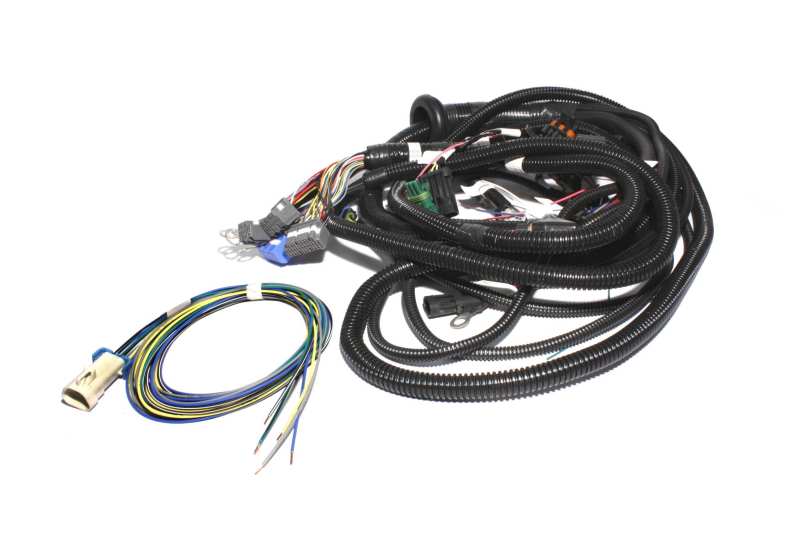 FAST Wiring Harness FAST Main LT1 FAST Wiring Harness FAST Main LT1