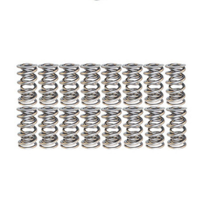 Manley Circle Track Roller Polished NexTek Series Valve Springs Manley Circle Track Roller Polished NexTek Series Valve Springs