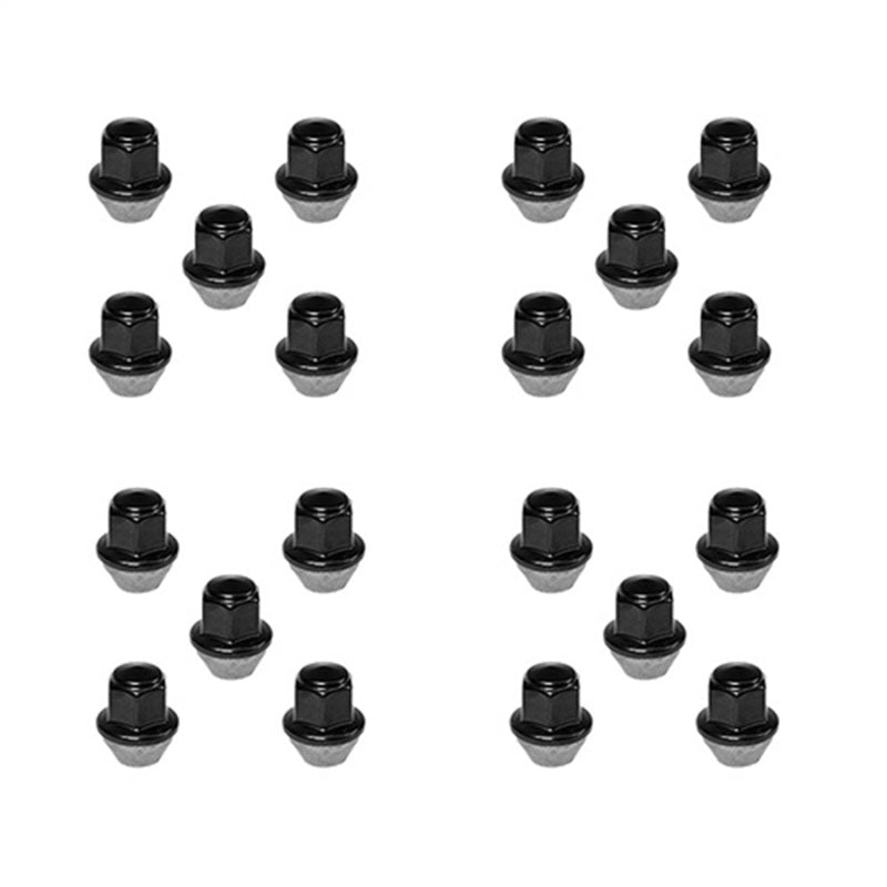 Ford Racing 15-18 Mustang Black Lug Nut Kit (20 Lug Nuts) Ford Racing 15-18 Mustang Black Lug Nut Kit (20 Lug Nuts)