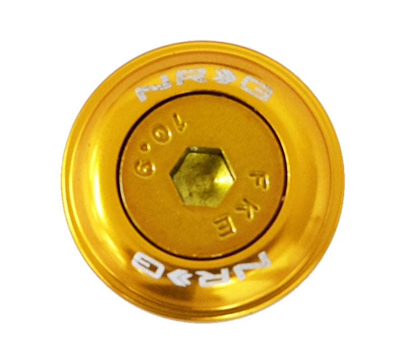 NRG Fender Washer Kit w/Color Matched M6 Bolt Rivets For Plastic (Rose Gold) - Set of 10 NRG Fender Washer Kit w/Color Matched M6 Bolt Rivets For Plastic (Rose Gold) - Set of 10