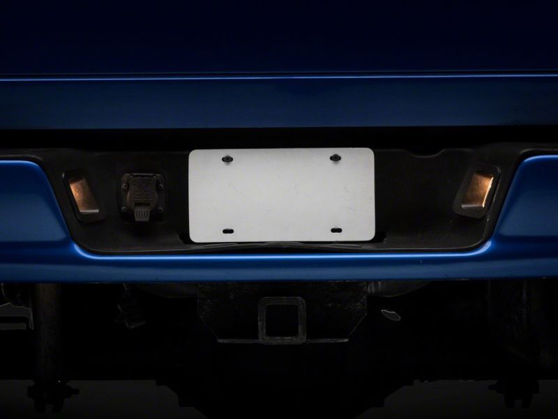 Raxiom 02-10 Dodge RAM 1500/2500 Axial Series OE Replacement License Plate Lamps Raxiom 02-10 Dodge RAM 1500/2500 Axial Series OE Replacement License Plate Lamps