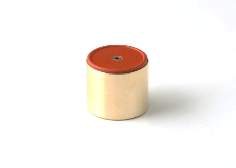 GFB Replacement DV+ Piston (Requires Piston Size in Order Notes) GFB Replacement DV+ Piston (Requires Piston Size in Order Notes)