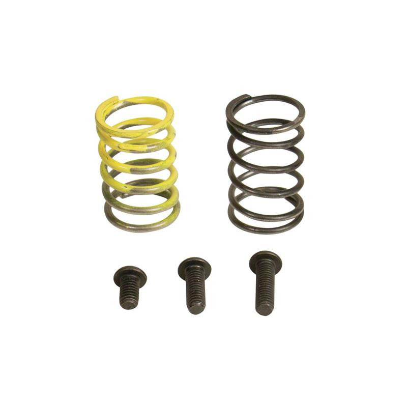 Industrial Injection 94-98 Dodge 12V AFC Spring Kit Industrial Injection 94-98 Dodge 12V AFC Spring Kit