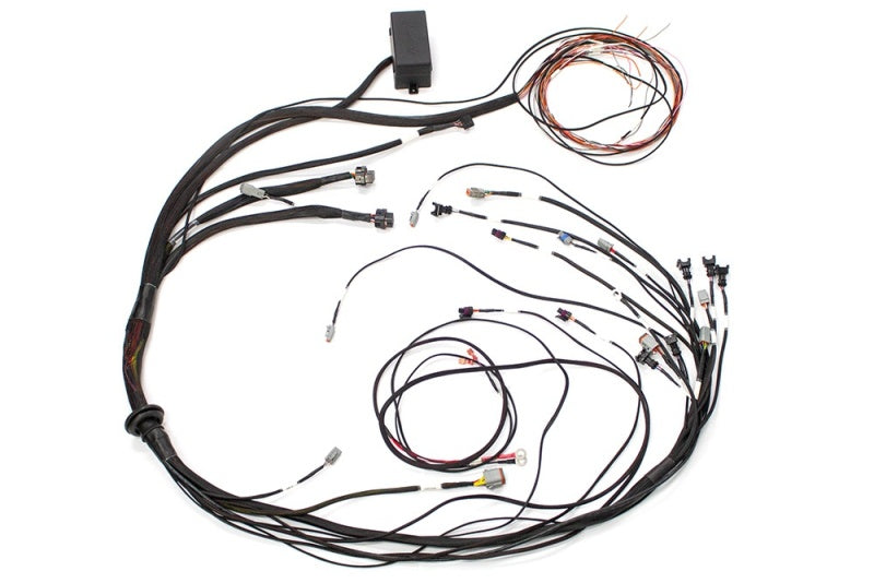 Haltech Mazda 13B (S4/5 CAS w/IGN-1A Ignition) Elite 1000 Terminated Harness Haltech Mazda 13B (S4/5 CAS w/IGN-1A Ignition) Elite 1000 Terminated Harness