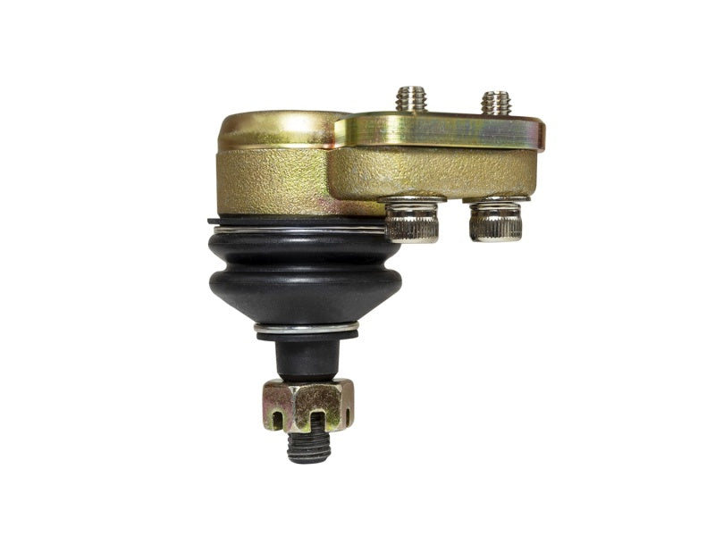 Skunk2 Pro Series 88-91 Honda Civic/90-93 Acura Integra/04-08 Acura TSX Front Camber Kit Ball Joint Skunk2 Pro Series 88-91 Honda Civic/90-93 Acura Integra/04-08 Acura TSX Front Camber Kit Ball Joint