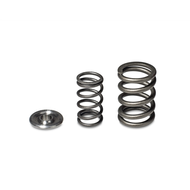 Skunk2 Alpha Series Honda/Acura H Series Valve Spring and Titanium Retainer Kit Skunk2 Alpha Series Honda/Acura H Series Valve Spring and Titanium Retainer Kit