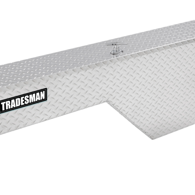 Tradesman Aluminum Fender Well Truck Tool Box (48in.) - Brite