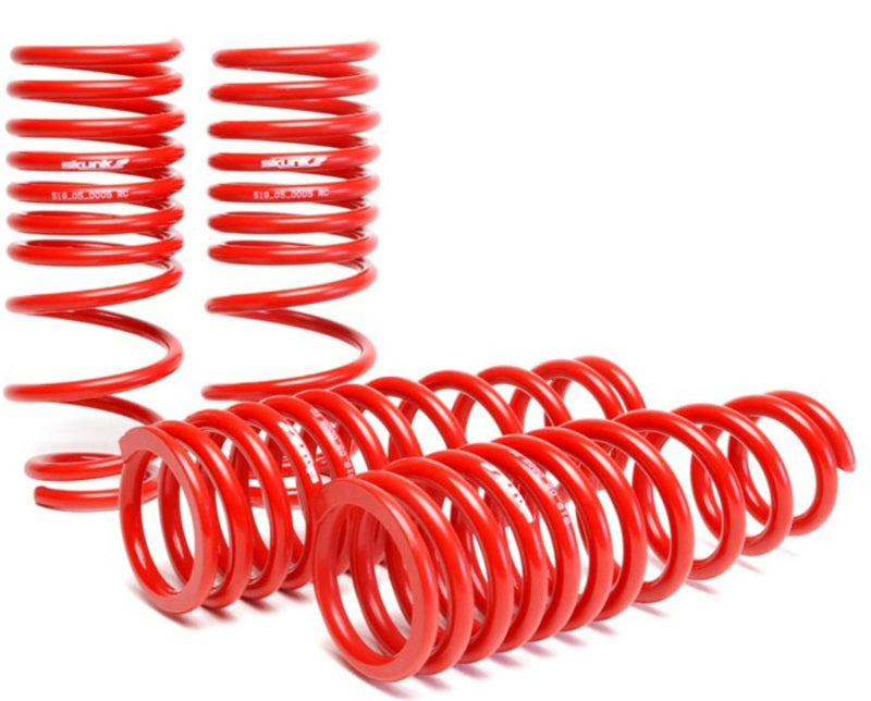 Skunk2 94-01 Acura Integra Lowering Springs (2.50in - 2.25in.) (Set of 4) Skunk2 94-01 Acura Integra Lowering Springs (2.50in - 2.25in.) (Set of 4)