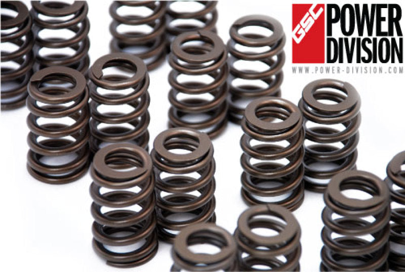 GSC P-D 4G63T EVO 8-9 Stage 1 Beehive Valve Springs (Use Factory Retainers and Spring Seats) GSC P-D 4G63T EVO 8-9 Stage 1 Beehive Valve Springs (Use Factory Retainers and Spring Seats)