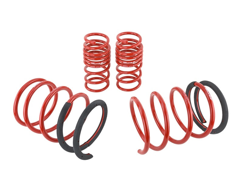 Skunk2 05-06 Acura RSX Lowering Springs (2.25in - 2.00in.) (Set of 4) Skunk2 05-06 Acura RSX Lowering Springs (2.25in - 2.00in.) (Set of 4)