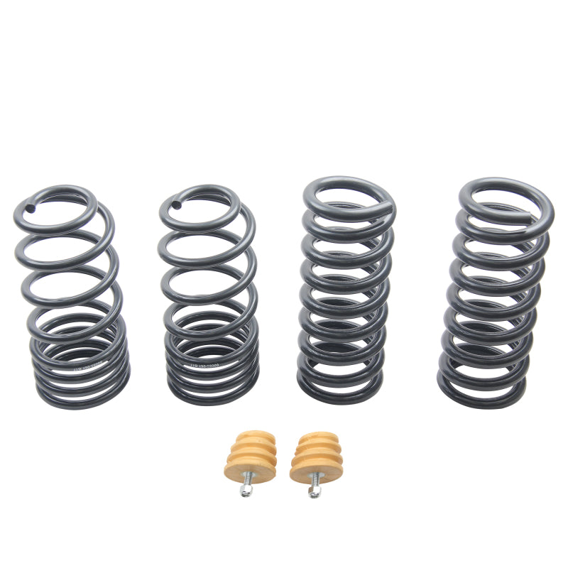 ST Sport-tech Lowering Springs Ford Mustang 3rd gen. / 4th gen. ST Sport-tech Lowering Springs Ford Mustang 3rd gen. / 4th gen.