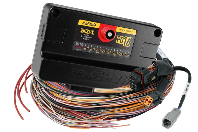 Haltech NEXUS PD16 + Flying Lead Harness - 5m (16ft) Haltech NEXUS PD16 + Flying Lead Harness - 5m (16ft)