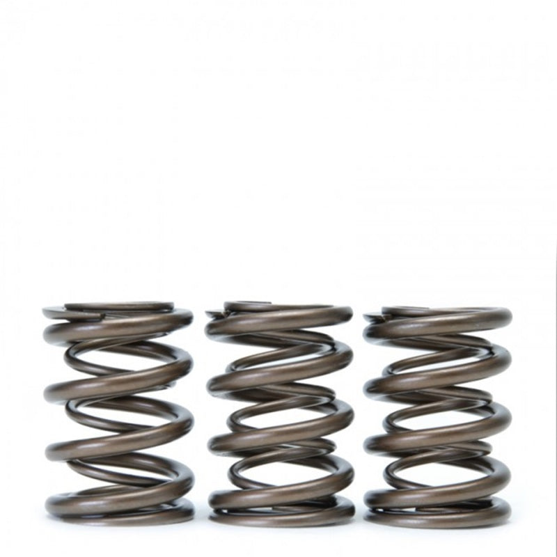 Skunk2 Tuner Series Honda/Acura (B16A/ B17A/ B18C) DOHC VTEC Alpha Valve Spring Set (Dual Springs) Skunk2 Tuner Series Honda/Acura (B16A/ B17A/ B18C) DOHC VTEC Alpha Valve Spring Set (Dual Springs)