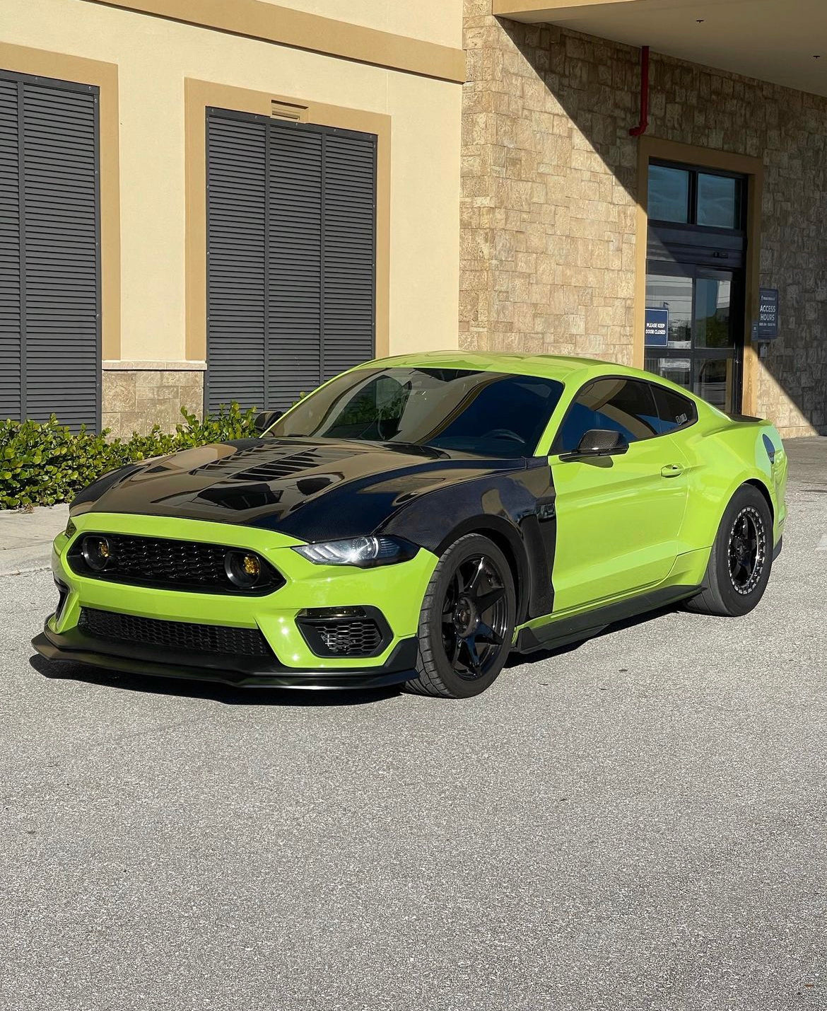 Mustang GT 2015+