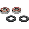 Pivot Works Honda, Indian, Kawasaki, Suzuki, Victory Wheel Bearing Kit Premium Bearings