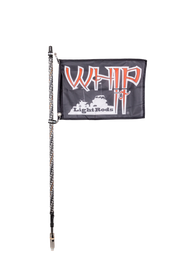 Whip It 5Ft Blk Bt Rgb Chase Set