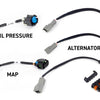 Haltech NEXUS Rebel LS Gen IV 6-Pin DBW Throttle/EV6 Injectors/Manual Transmission