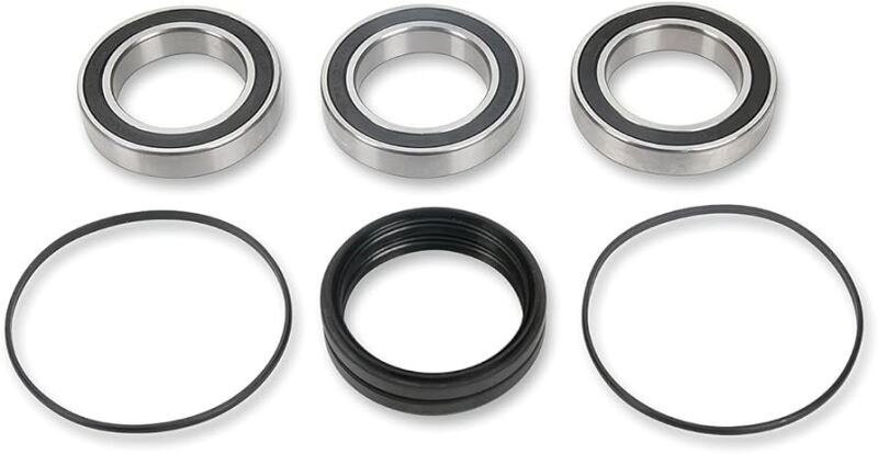Pivot Works 00-06 Honda TRX350FE - Rear Wheel Bearing Kit