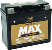 Twin Power GYZ-20HL Premium MAX Battery Replaces H-D 65989-97A Made in USA 320 CCA