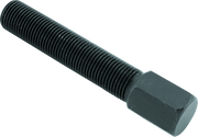 Photo - Primary