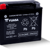 Yuasa YTX20 Maintenance Free AGM 12 Volt Battery