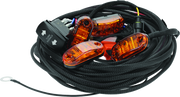 DragonFire Racing Whip Harness - 4 Seat- Dual