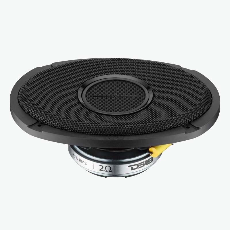 Photo - Close Up