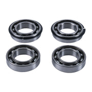 Hot Rods 14-20 Scrambler 1000 XP/2021 Scrambler 1000 XP 55 Counter Balancer Kit