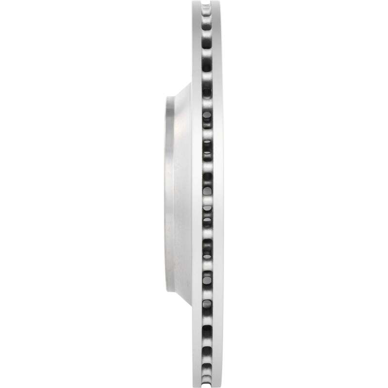 Photo - Close Up